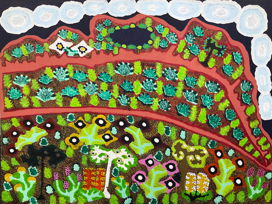 DAISY NAPALTJARRI JUGADAI | MEREENIE RIDGE A6469 - Mitchell Fine Art