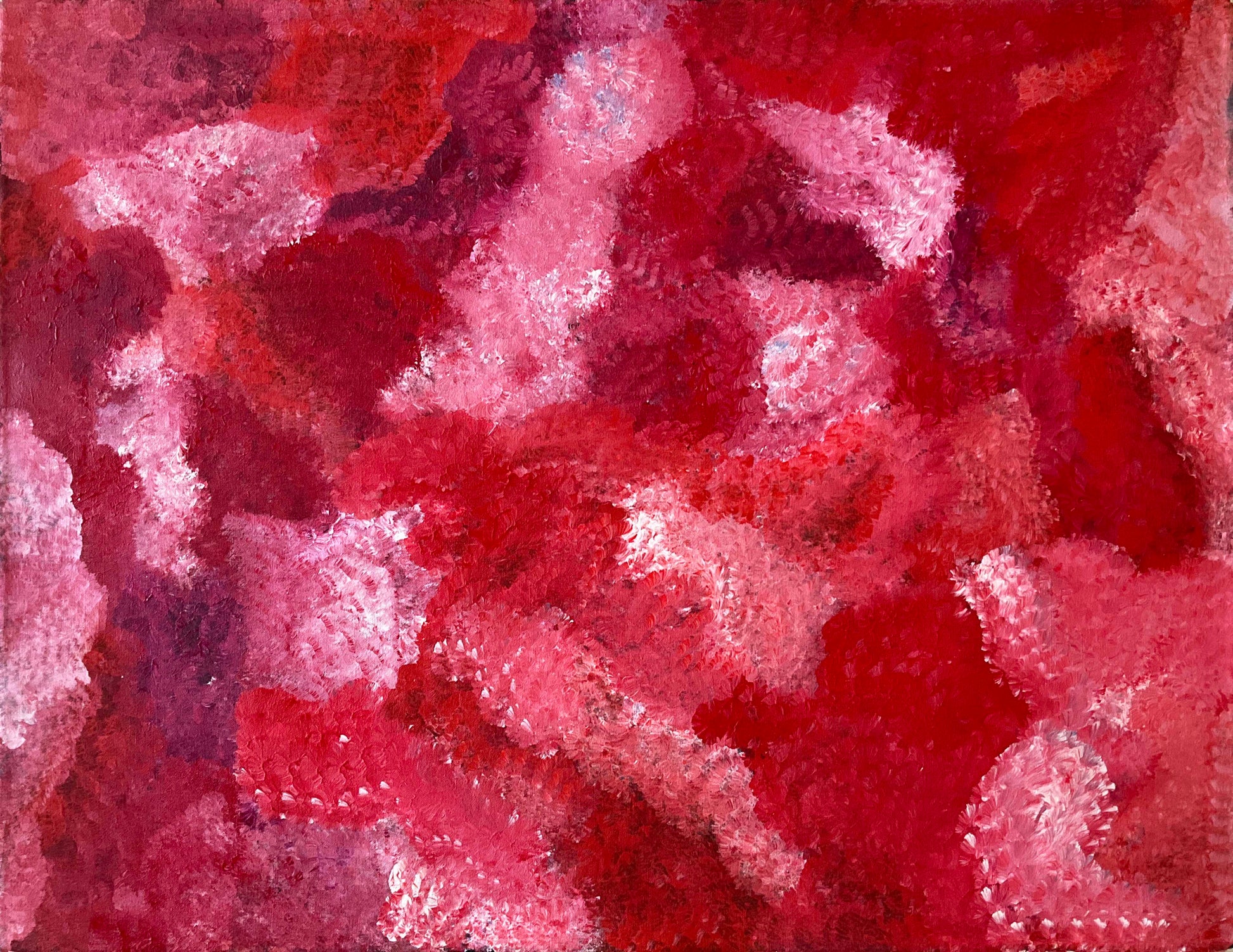 Jeannie Petyarre artworks at Mitchell Fine Art. Petyarre Sisters.