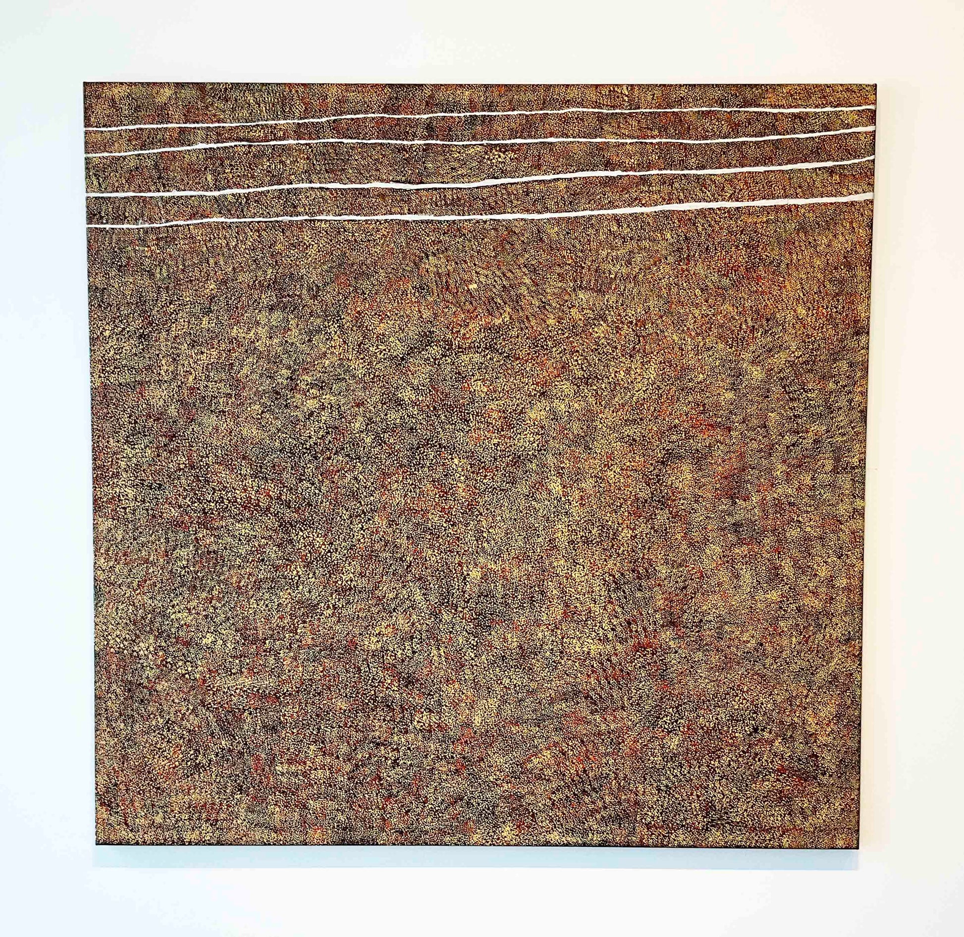 Kathleen Petyarre paintings - Aboriginal Art gallery Brisbane