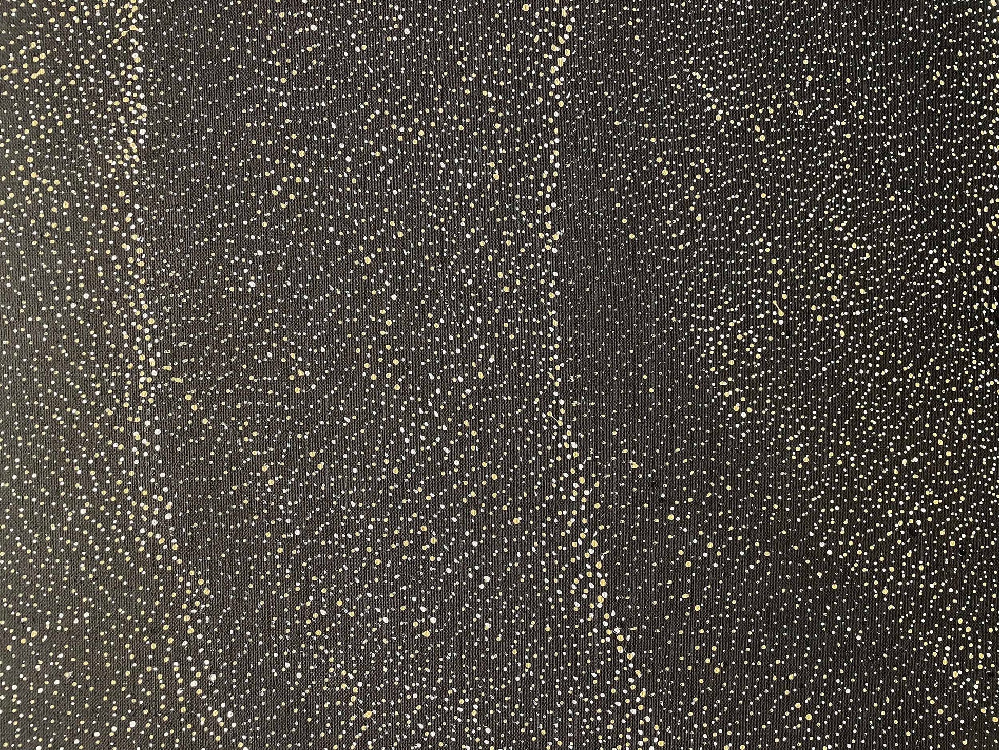 Lily Kelly Napangardi paintings - Tali (Sandhills)  - Mitchell Fine Art