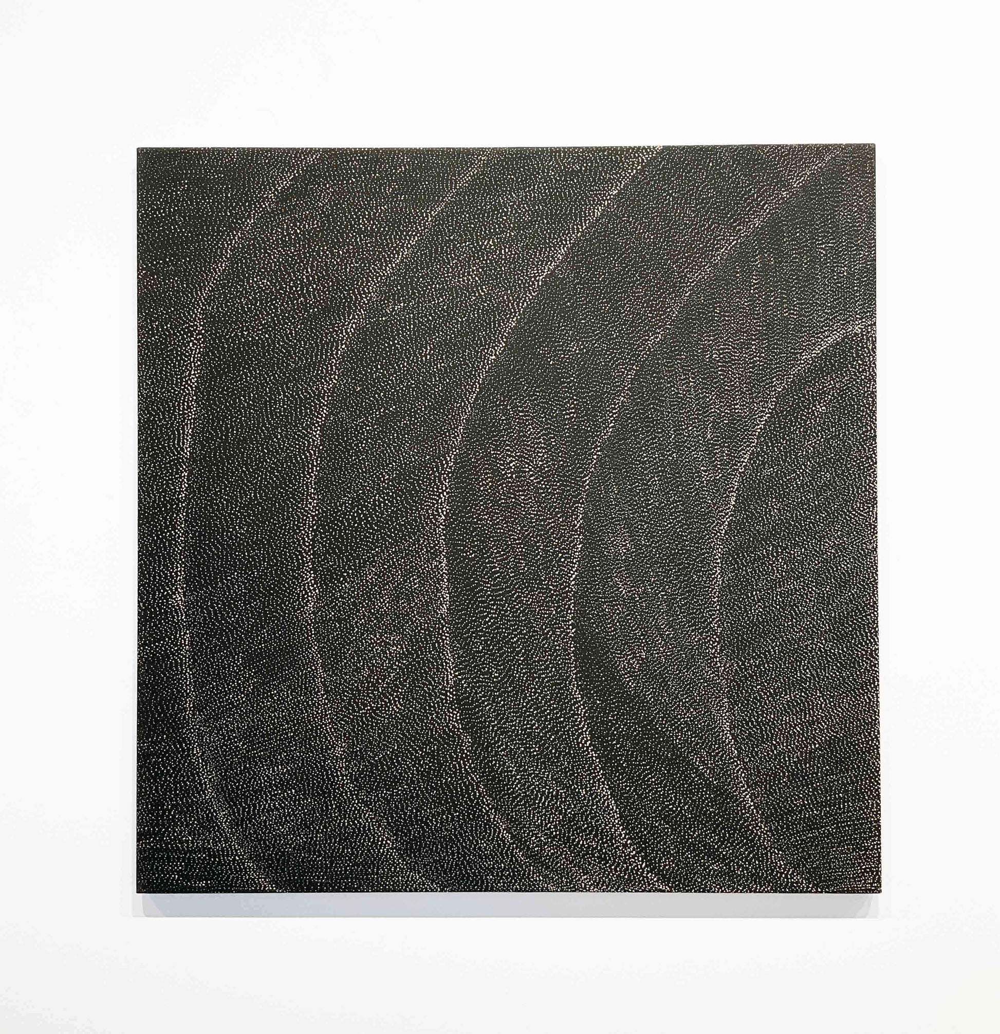 Lily Kelly Napangardi paintings - Tali (Sandhills)  - Mitchell Fine Art