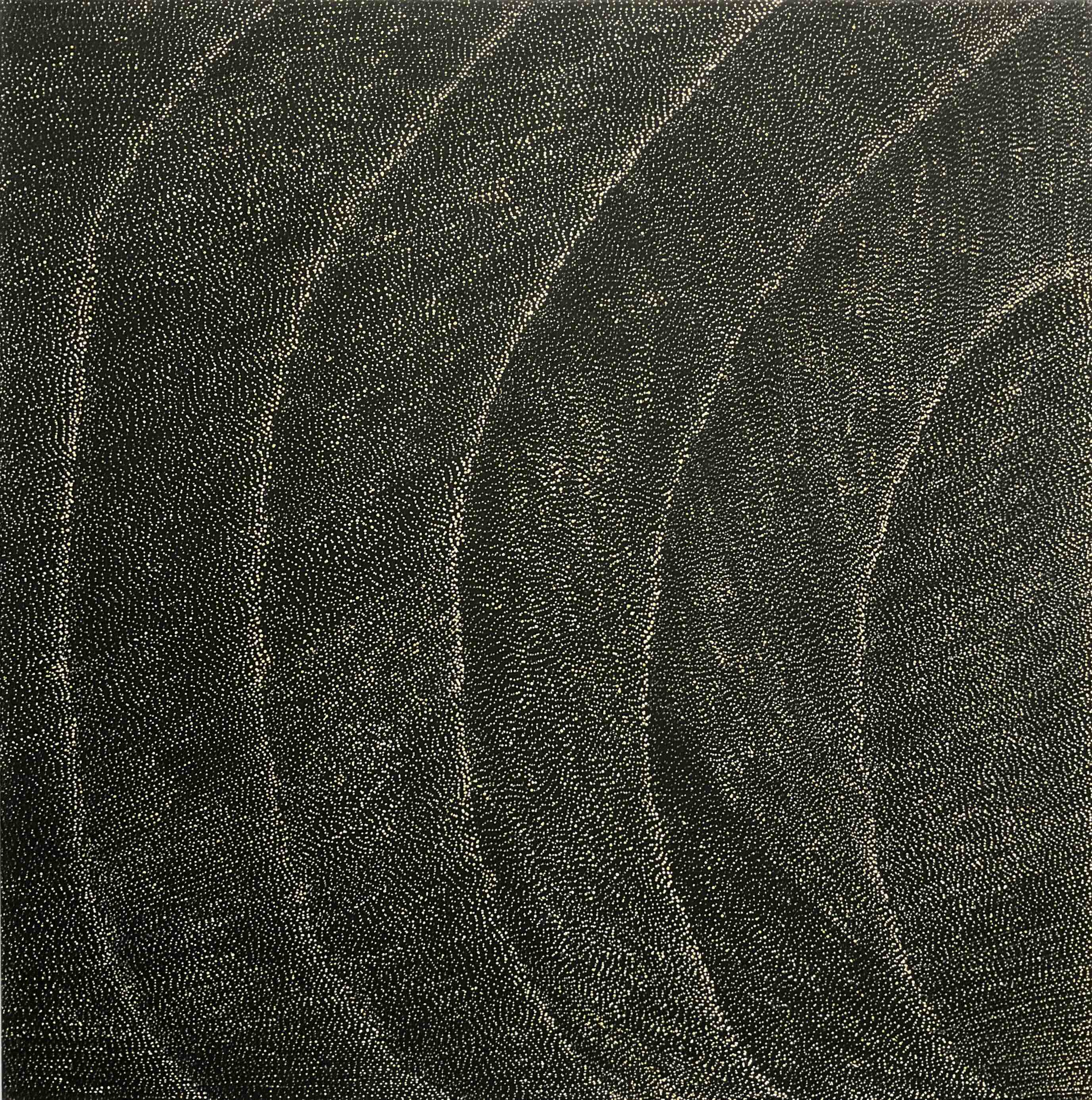 Lily Kelly Napangardi paintings at Mitchell Fine Art