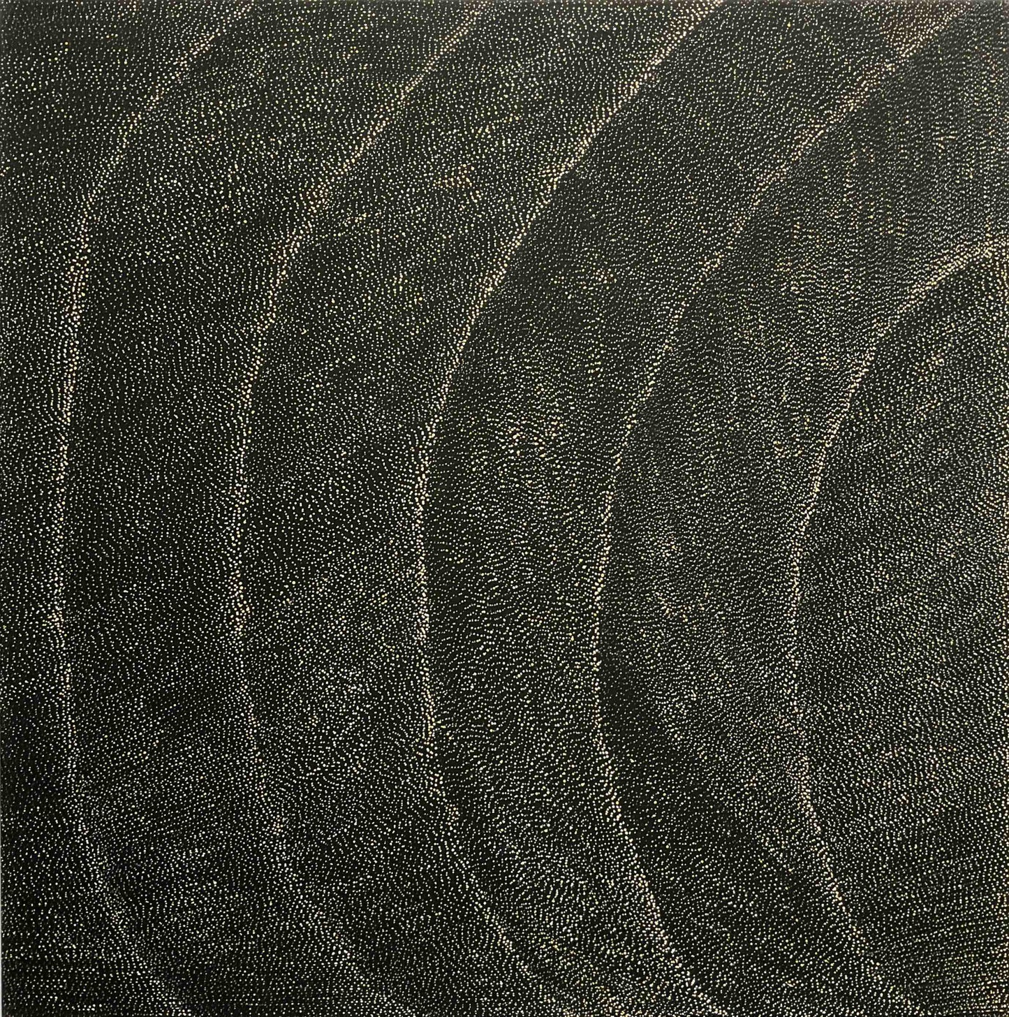 Lily Kelly Napangardi paintings - Tali (Sandhills)  - Mitchell Fine Art