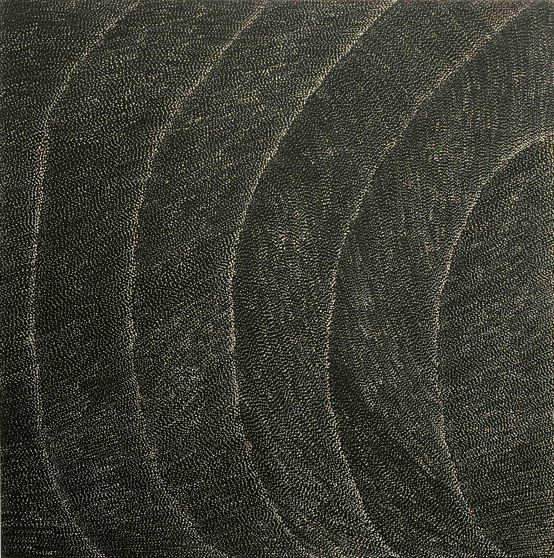 Lily Kelly Napangardi paintings - Tali (Sandhills)  - Mitchell Fine Art