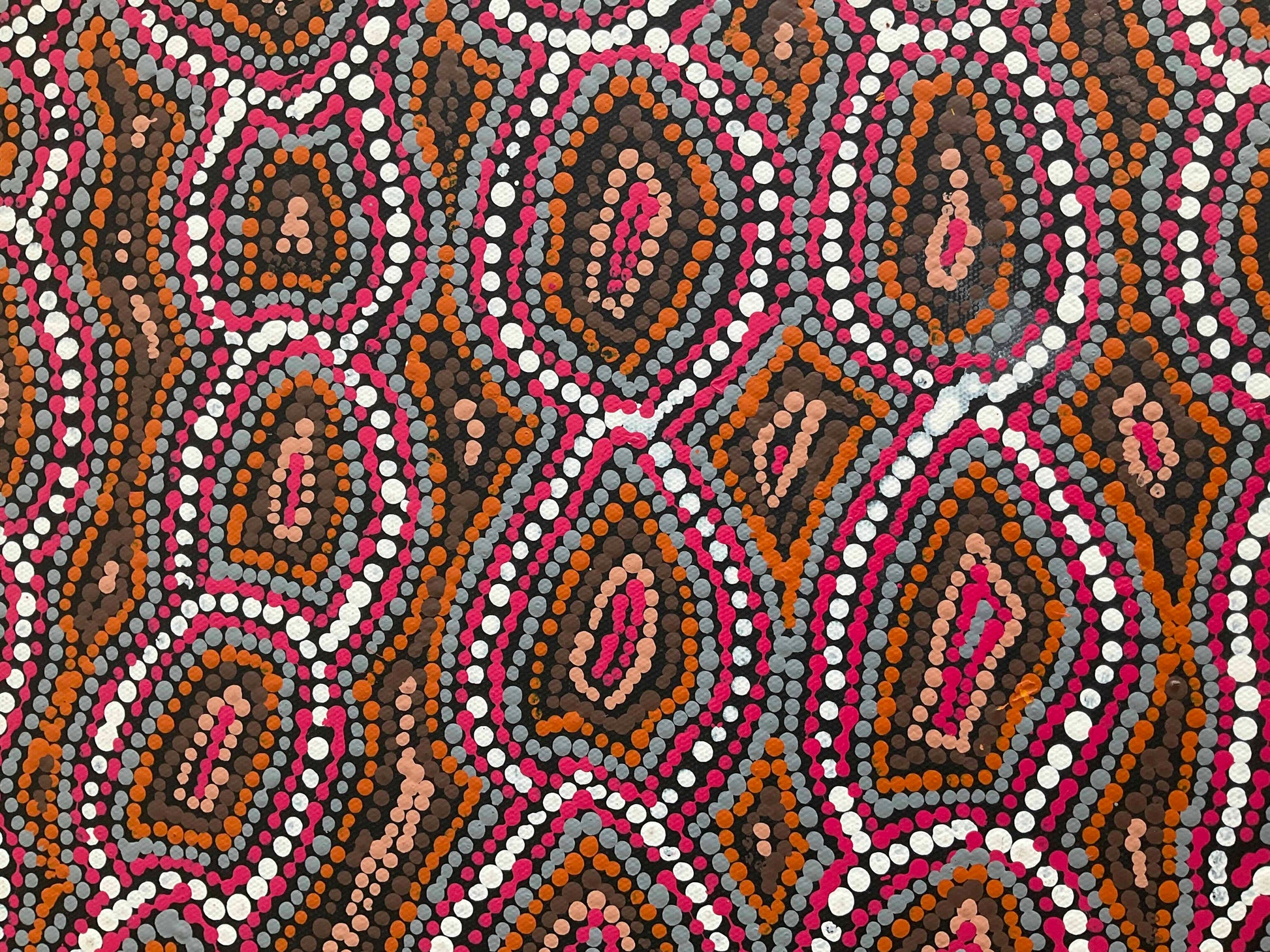 Lola Brown Nampitjinpa Artworks at Mitchell Fine Art