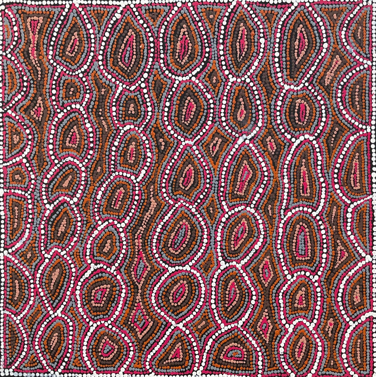 Lola Brown Nampitjinpa Artworks at Mitchell Fine Art