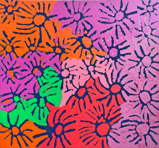 Yipandari (Kangaroo Tucker) A3239