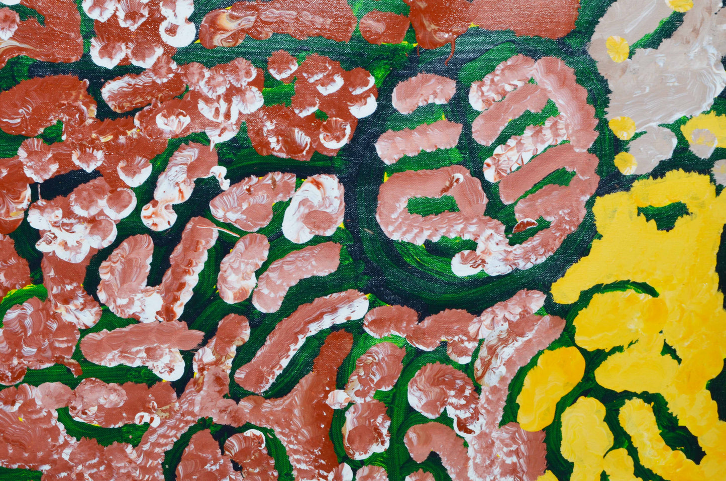 Lorna Fencer Napurrula | 'Warputi (White Potato)' A3529