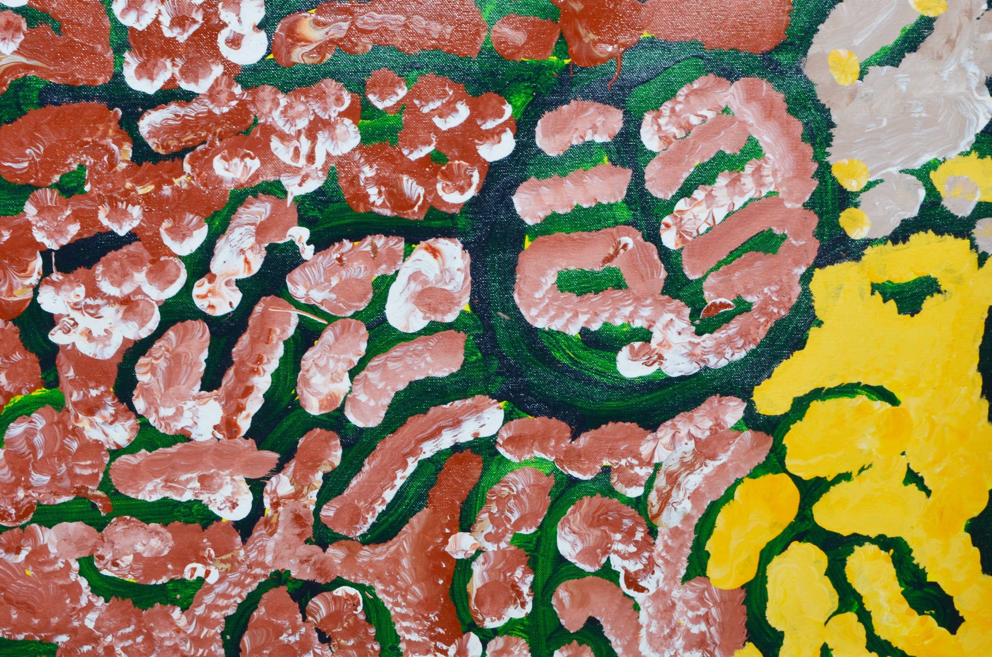 Lorna Fencer Napurrula | 'Warputi (White Potato)' A3529