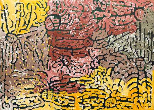 Lorna Fencer Napurrula | 'Warputi (White Potato)' A3529