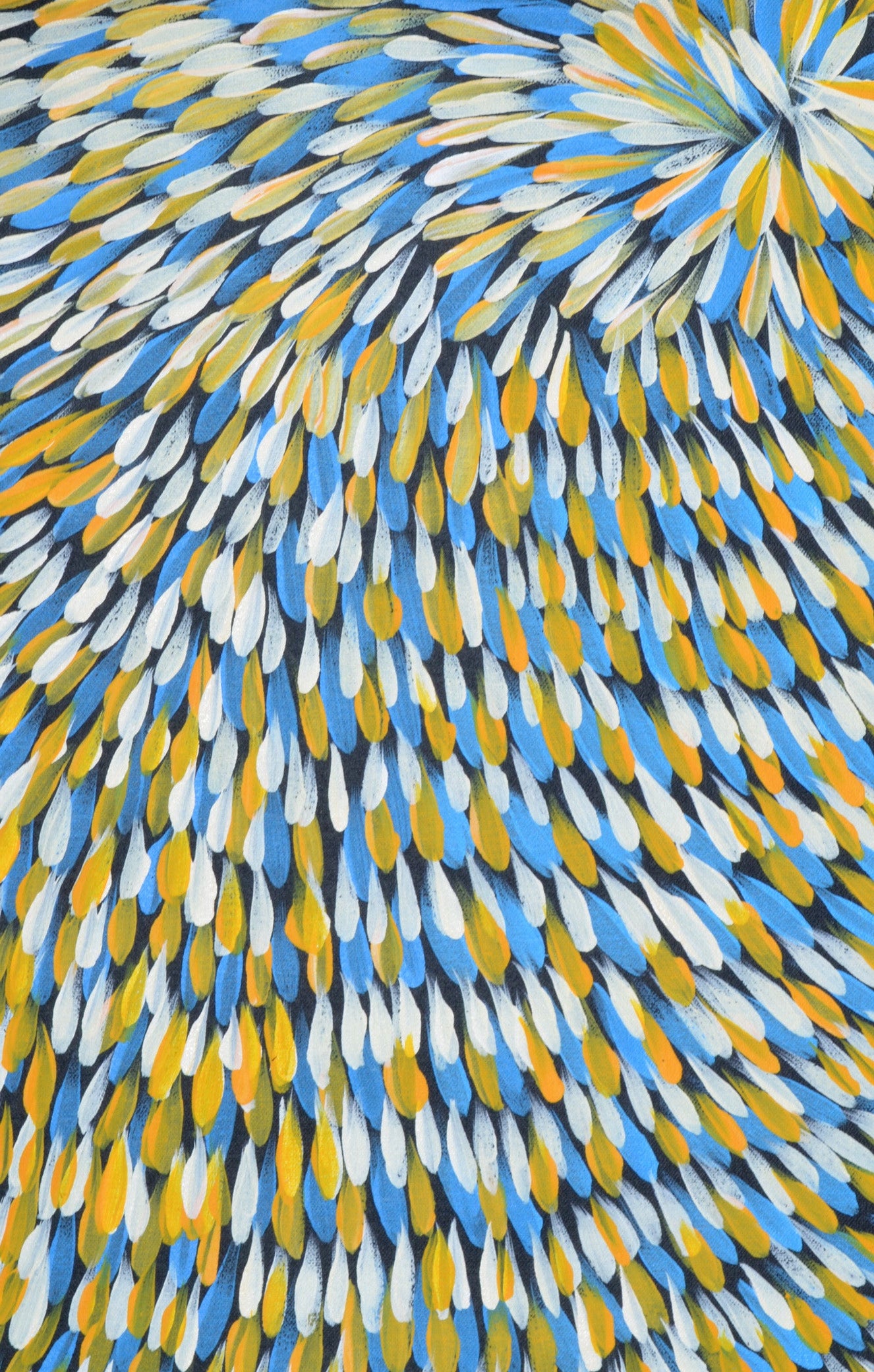 Gloria Petyarre Artworks Mitchell Fine Art