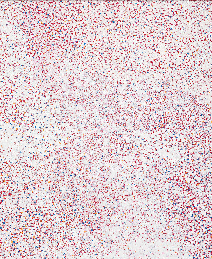 Polly Ngale Bush plum paintings - Brisbane Art Gallery