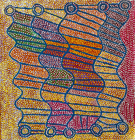 Ngapa Tjukurrpa (Water Dreaming) A16223