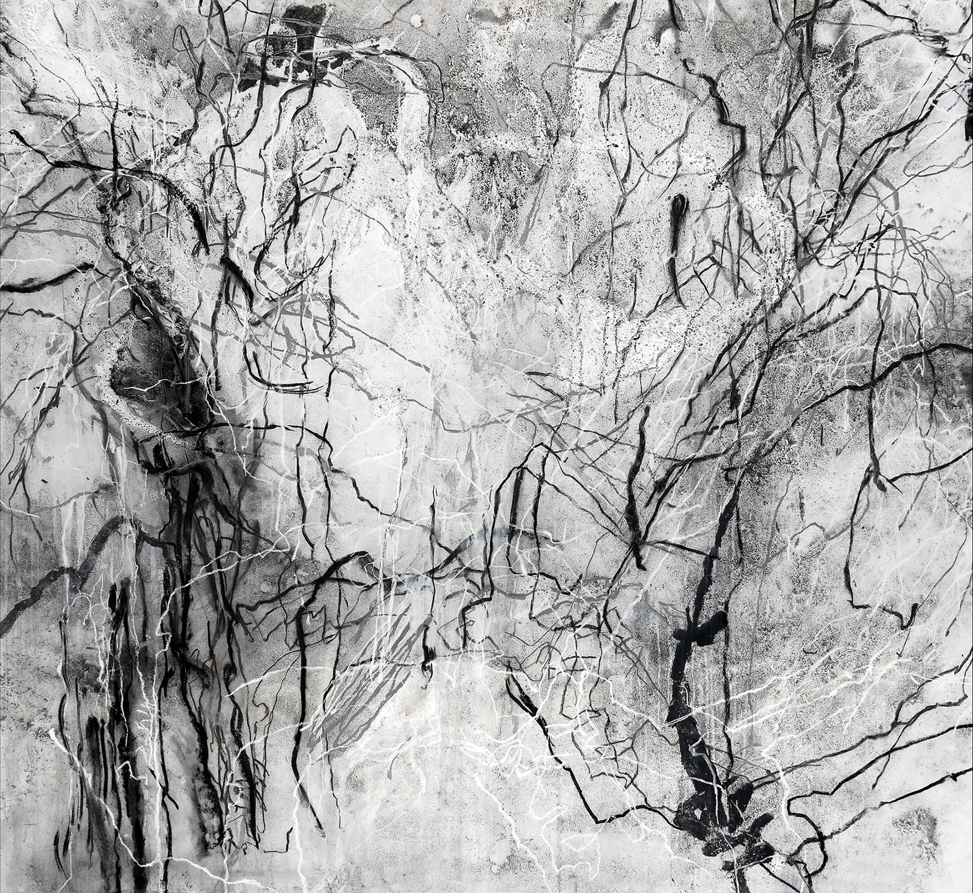 Sophie Cape Contemporary Artist