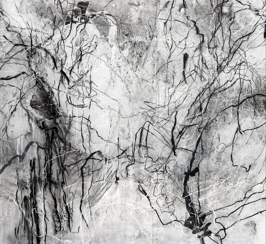 Sophie Cape Contemporary Artist