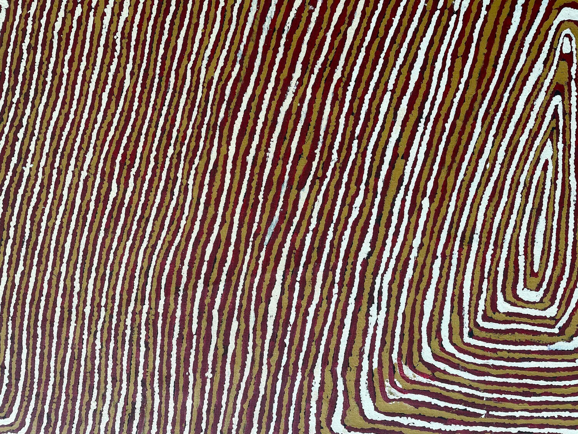 Tatali Napurrula - Aboriginal paintings for rent 