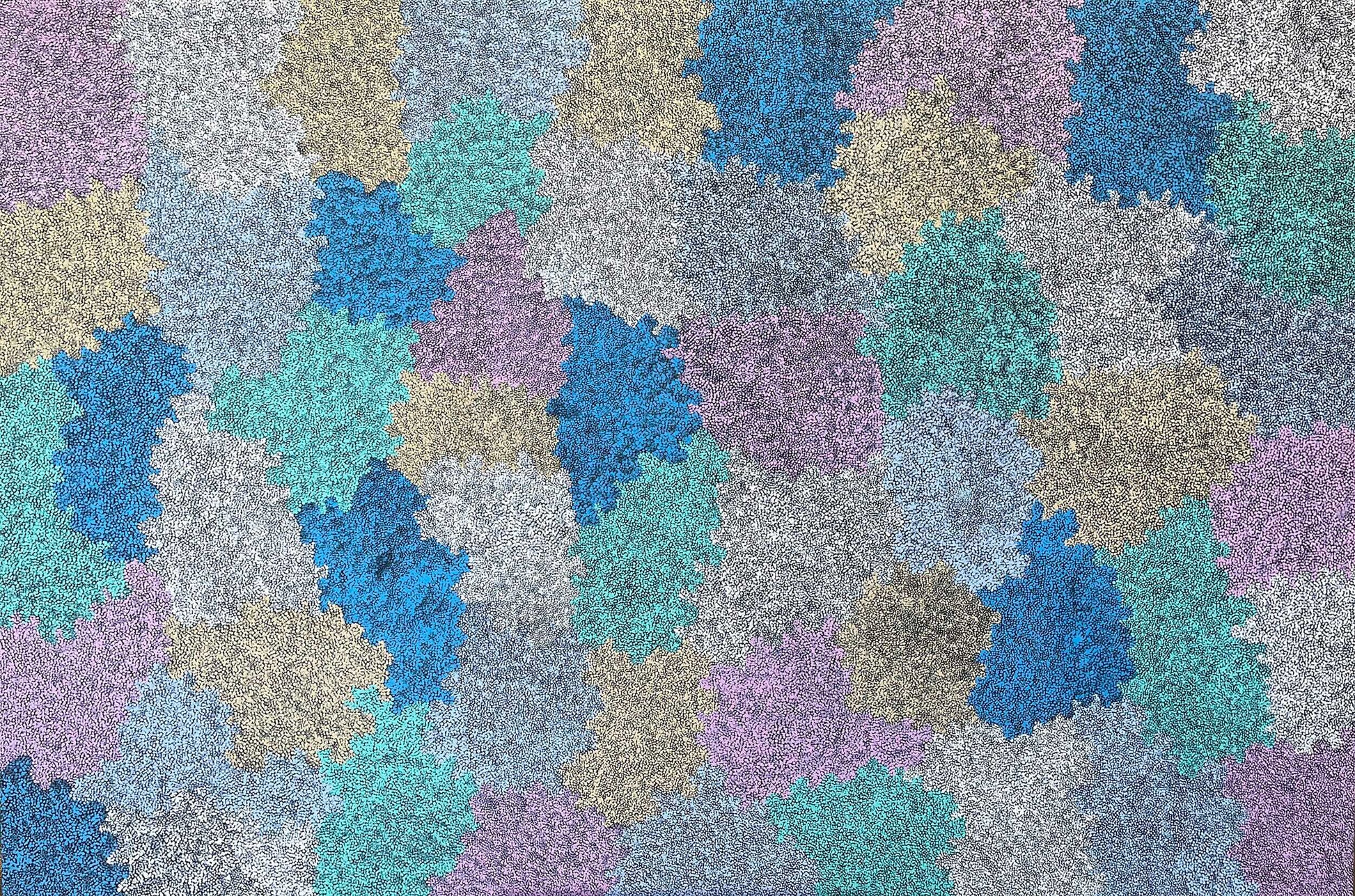 Topsy Peterson Napangardi Aboriginal Artworks