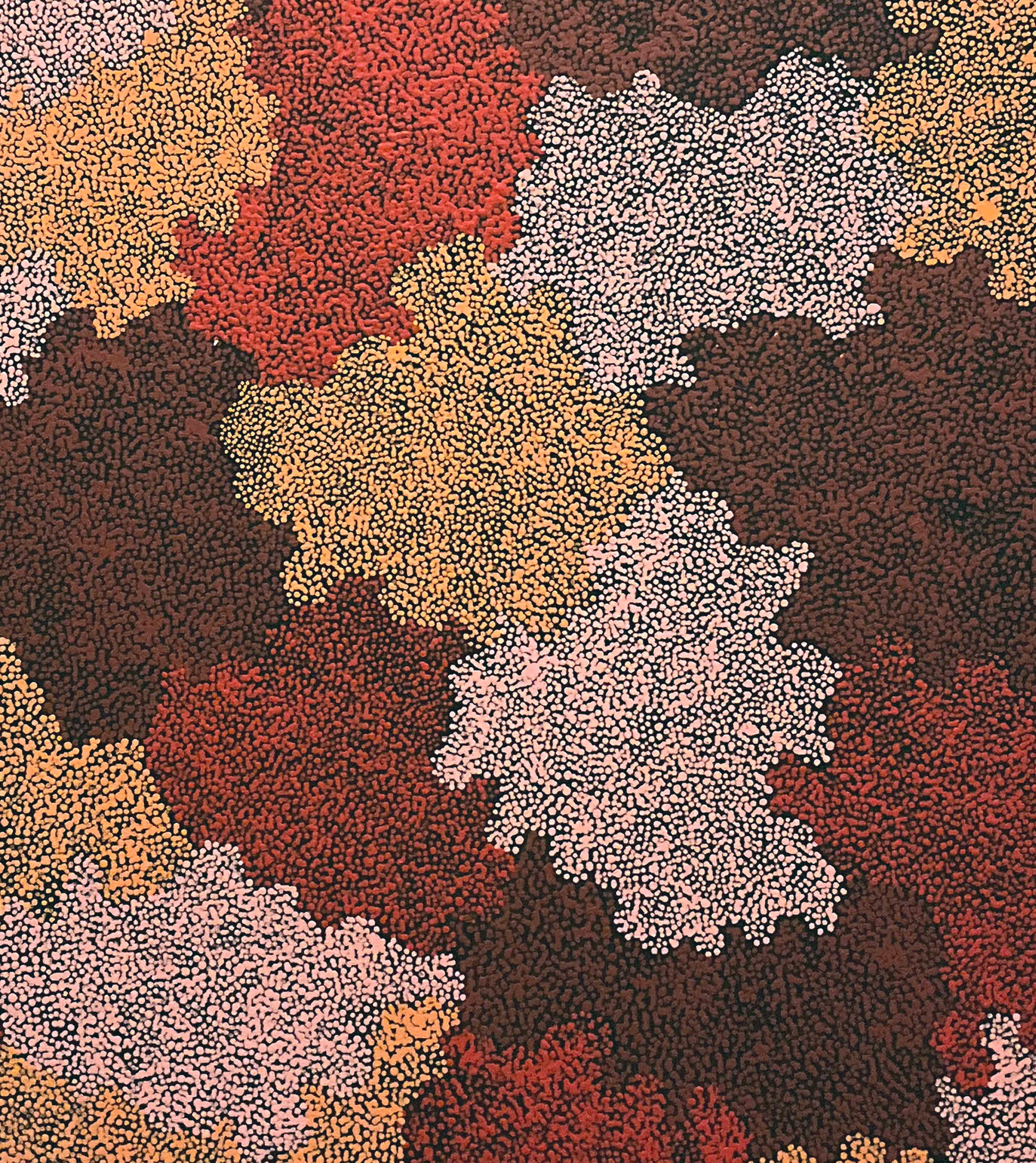 Topsy Peterson Napangardi Aboriginal Artworks