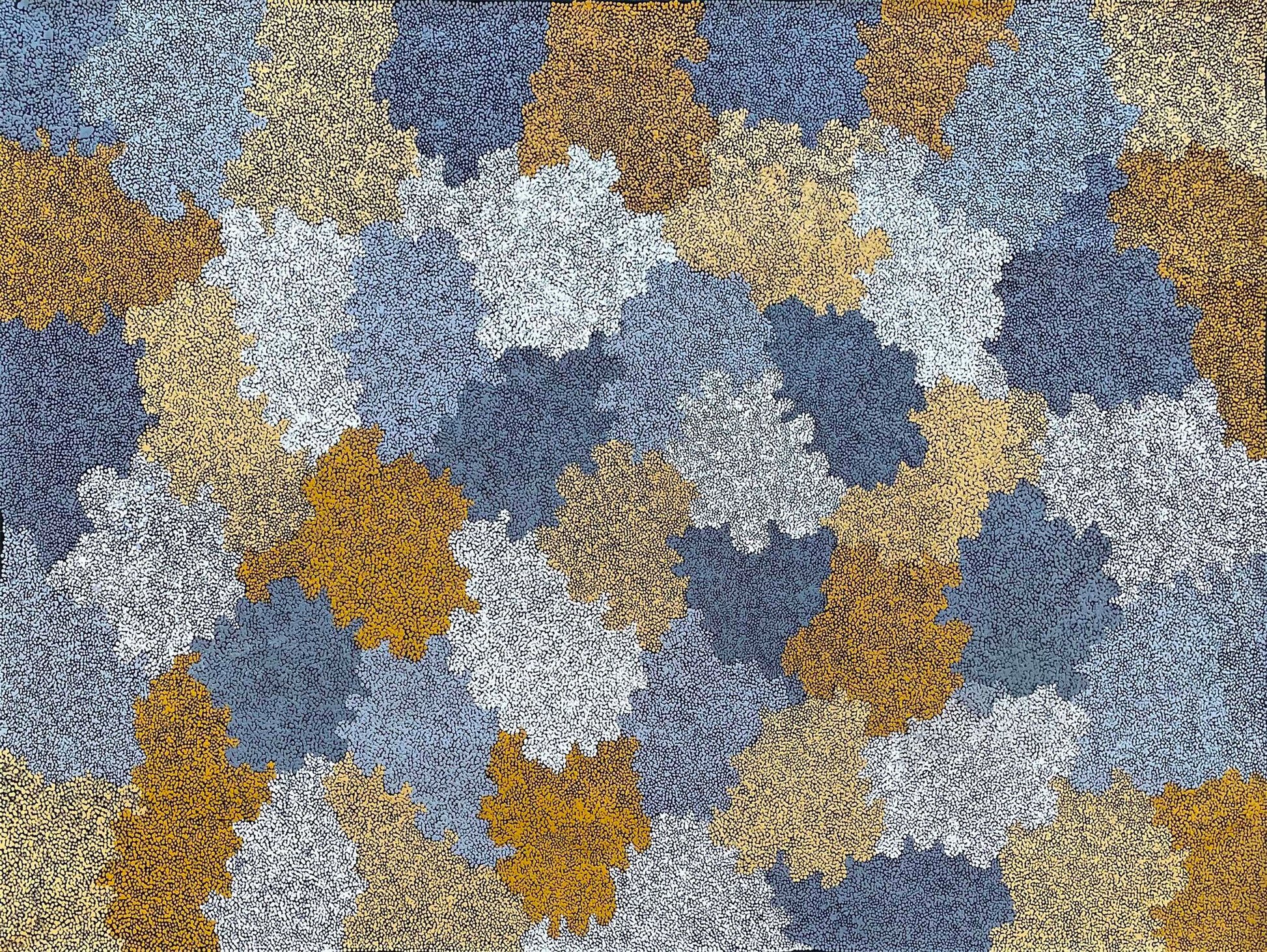 topsy peterson napangardi aboriginal art