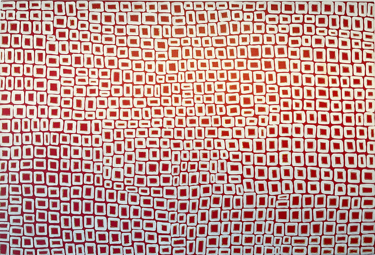 Abie Loy Kemarre Paintings - Brisbane Art Gallery