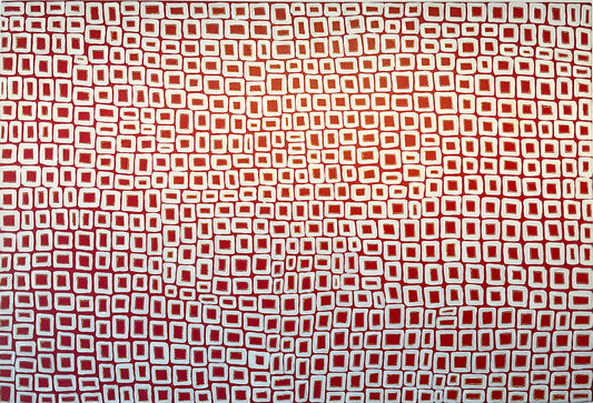 Abie Loy Kemarre Paintings - Brisbane Art Gallery