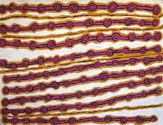Alice Nampitjinpa paintings - Art for rent Brisbane