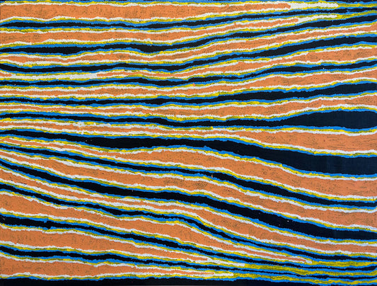 Alice Nampitjinpa paintings - Indigenous Art Brisbane