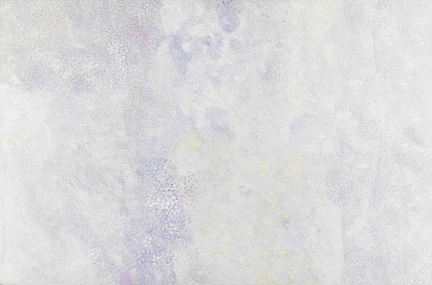 Angelina Ngale paintings - art galleries Brisbane