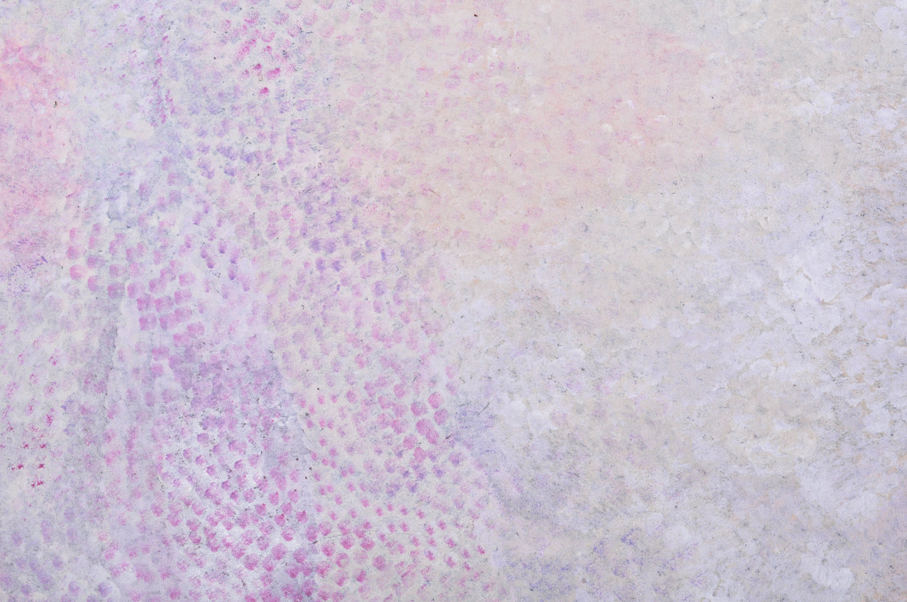 Angelina Ngale artworks - Bush Plum Dreaming