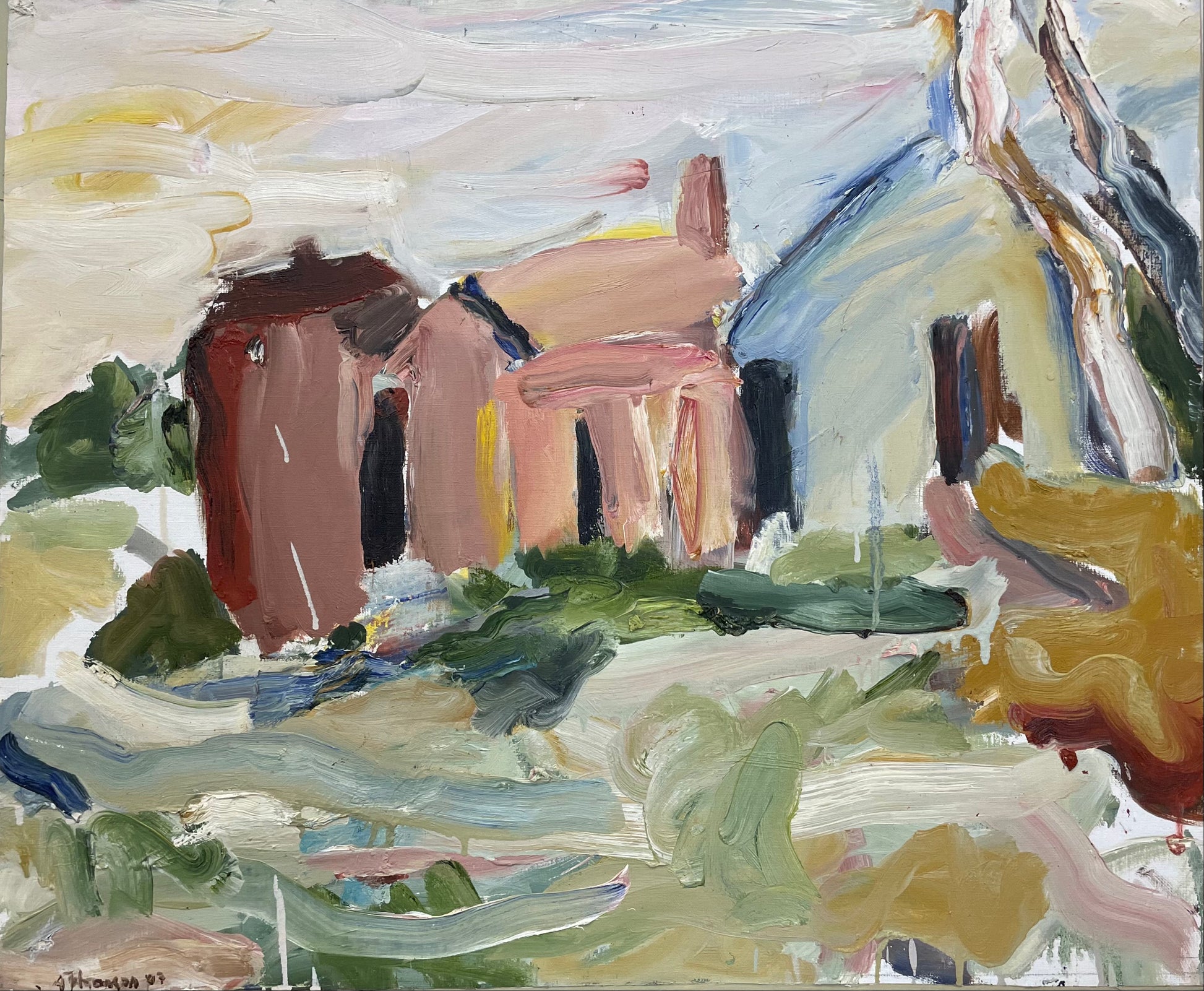 Ann Thomson Contemporary Australian Artist