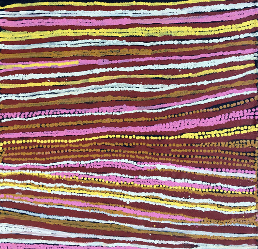 'Women's Dreaming' Painting