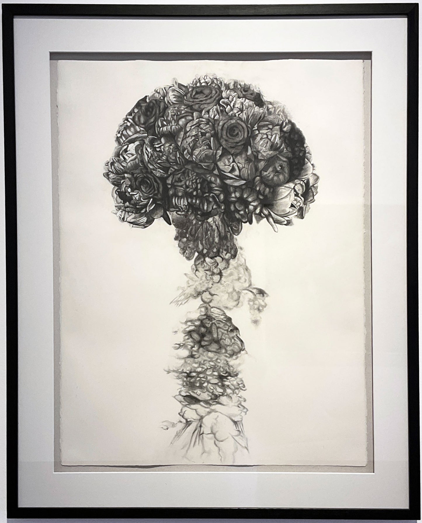 David Hayes art - Brisbane artists