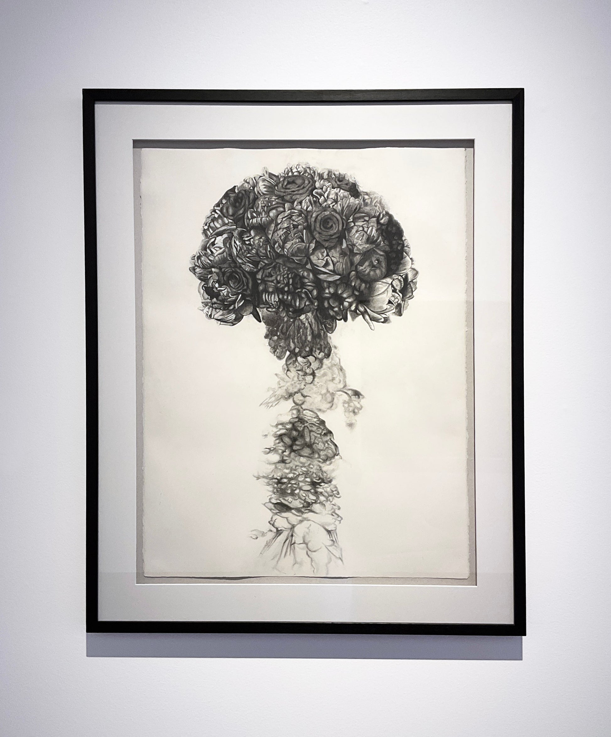 David Hayes Contemporary Brisbane Artist