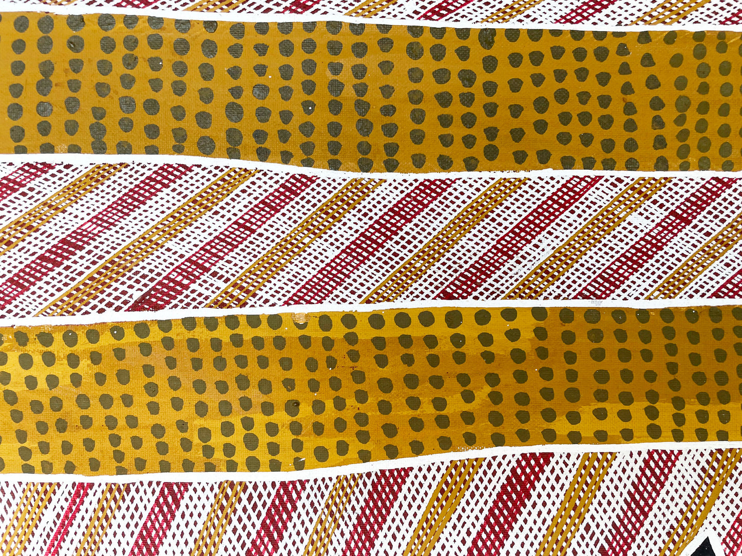 Gumang (Magpie Goose) MK18272