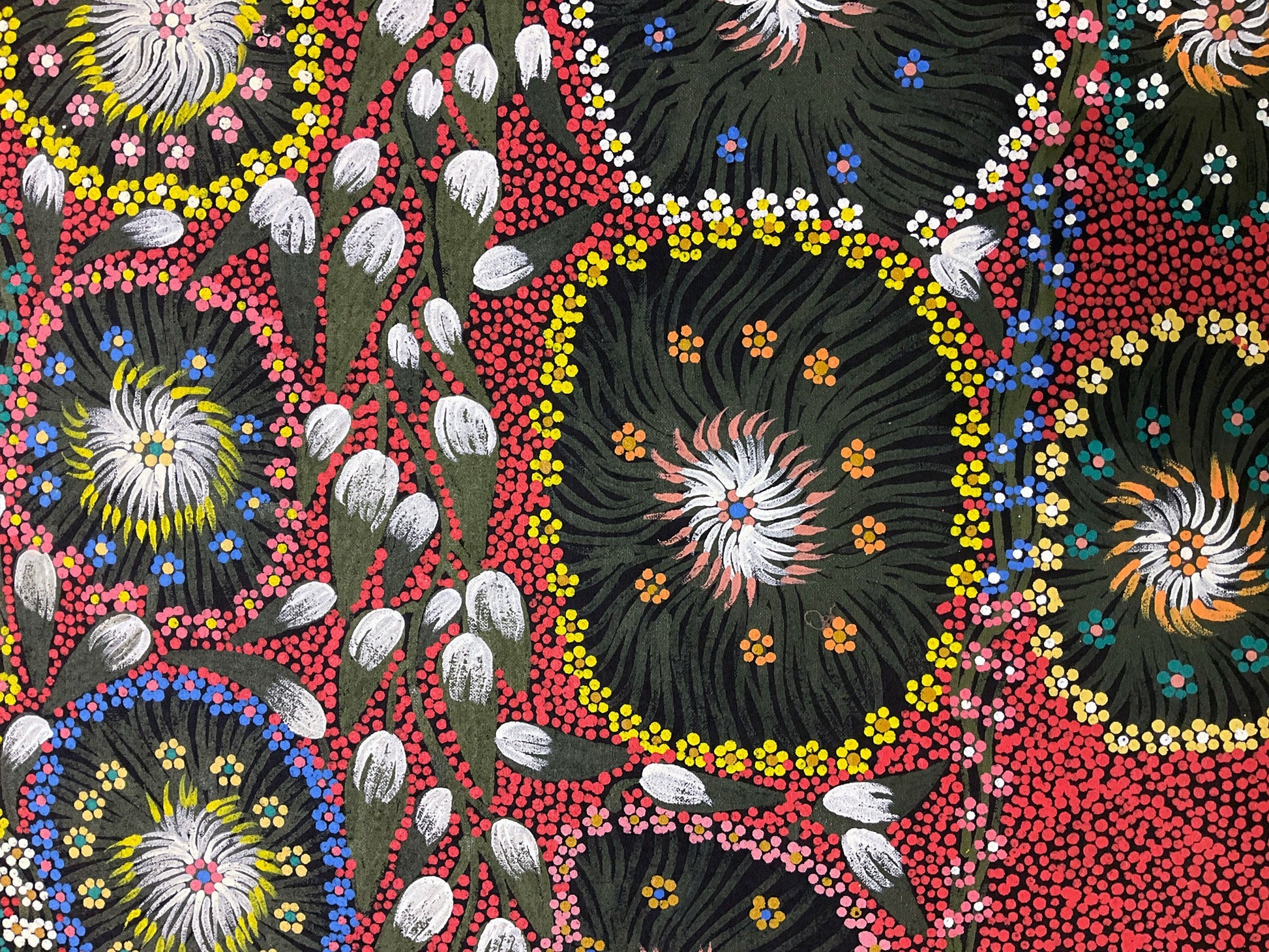 Eunice Napangardi 'Yuparli (Bush Banana)'