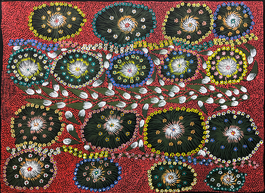 Eunice Napangardi 'Yuparli (Bush Banana)'