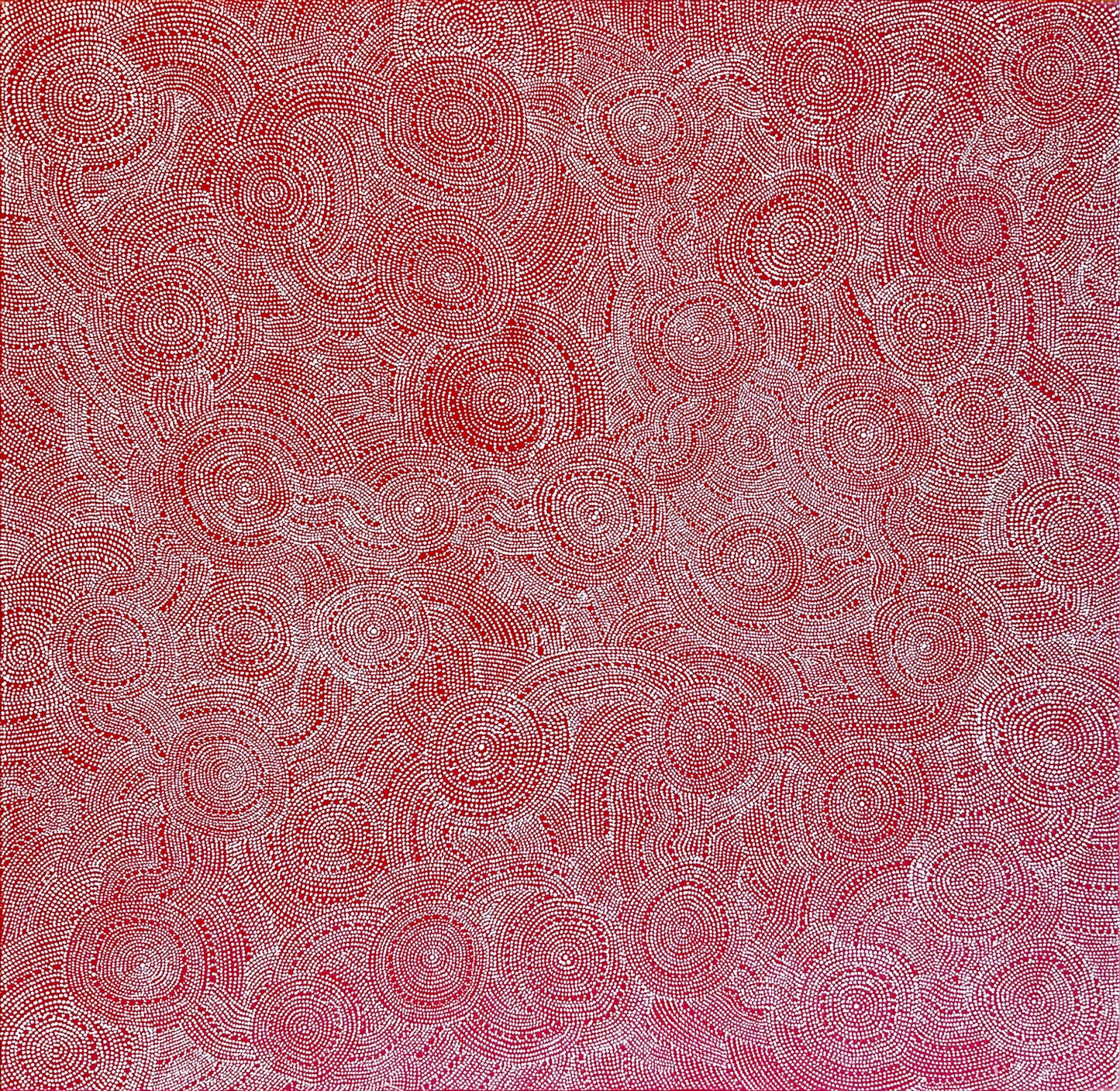 Eva Nelson Napaltjarri 'Budgerigar Dreaming'