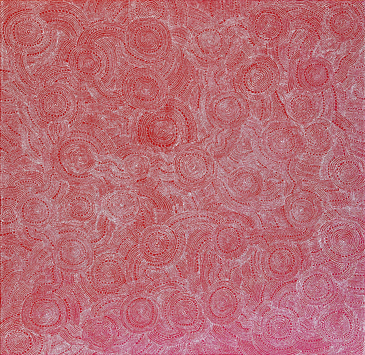 Eva Nelson Napaltjarri 'Budgerigar Dreaming'