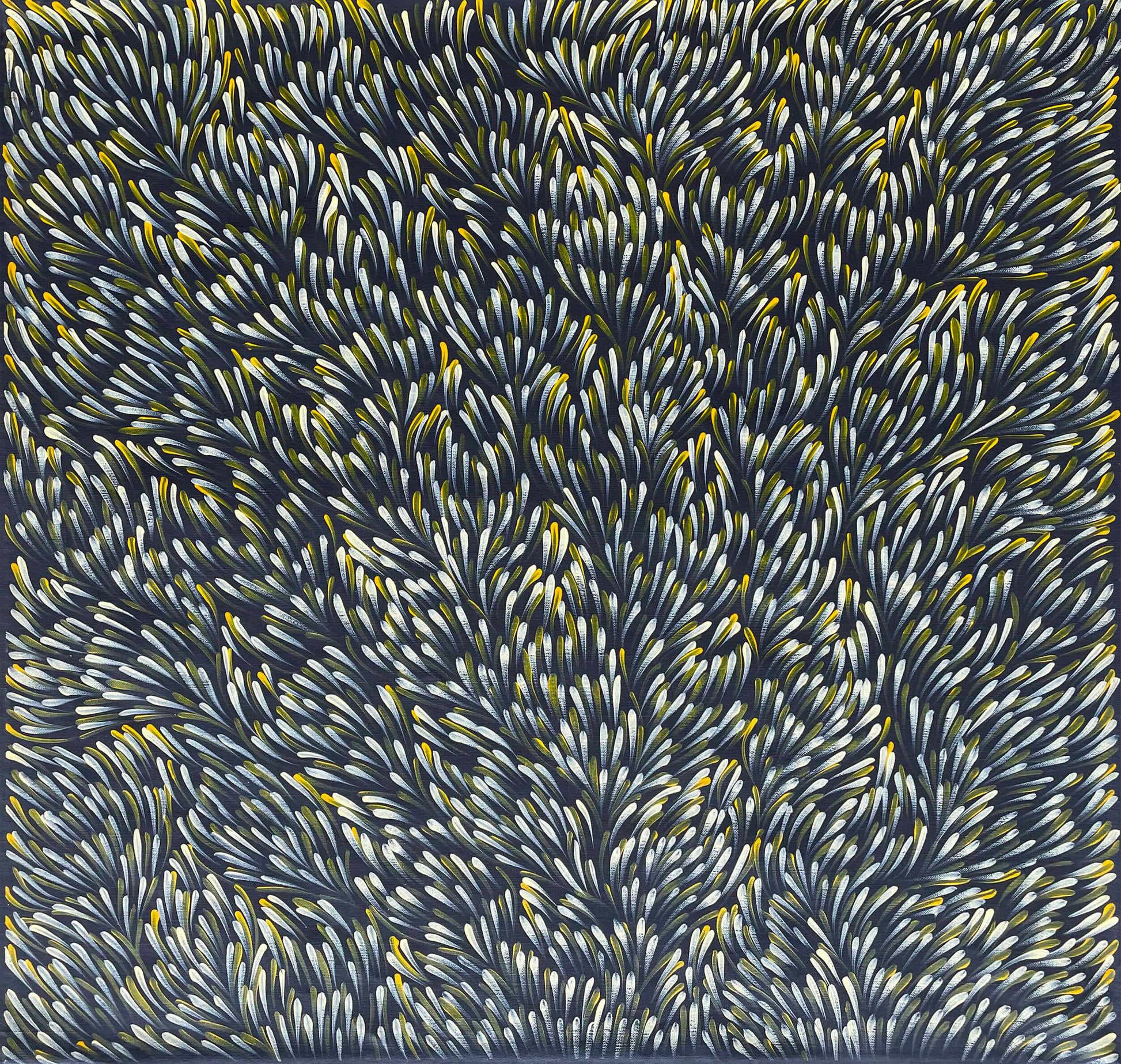 Gloria Petyarre Aboriginal paintings