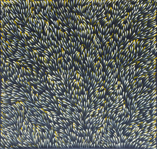 Gloria Petyarre Aboriginal paintings