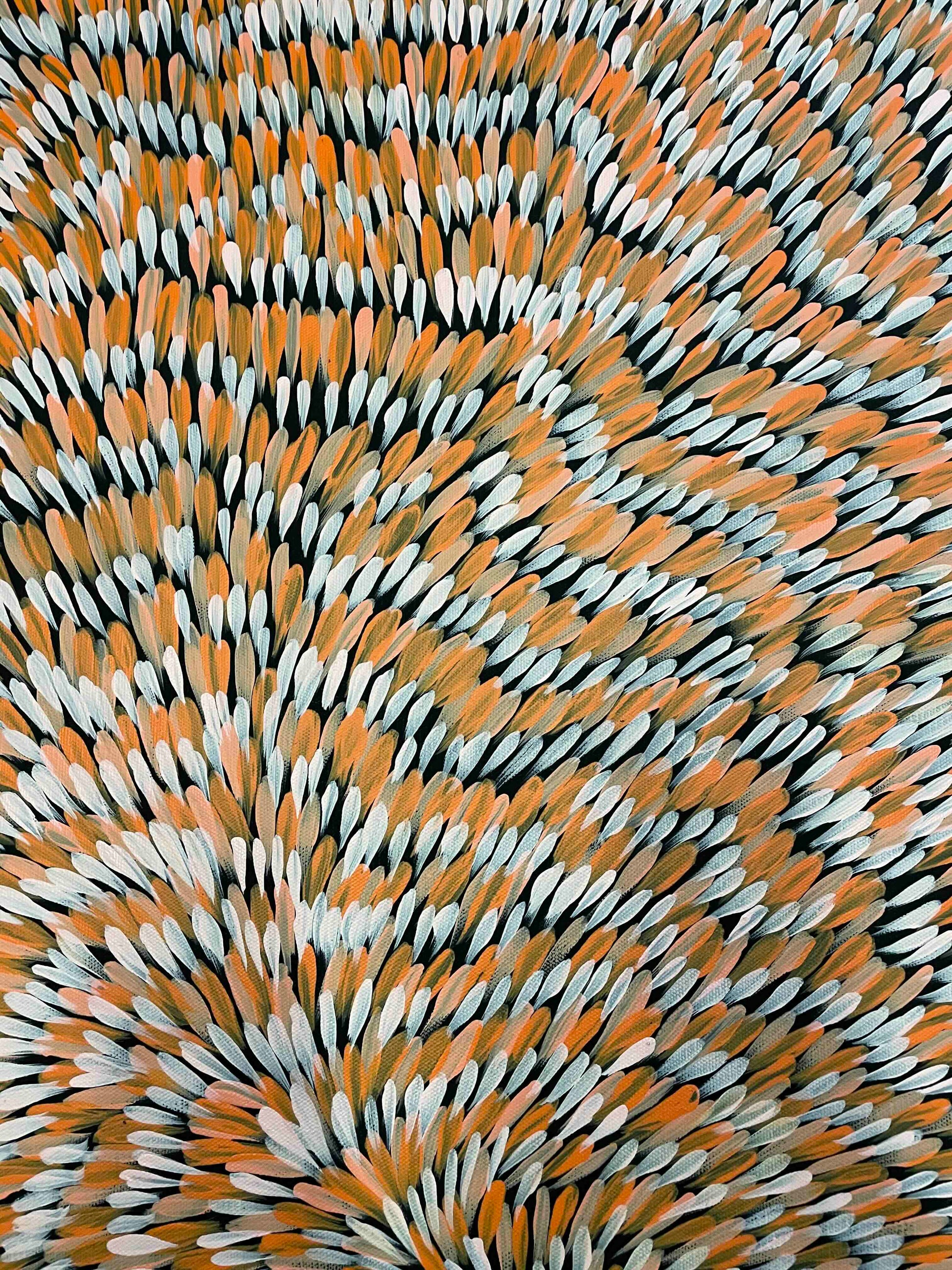 Gloria Petyarre Medicine Leaves