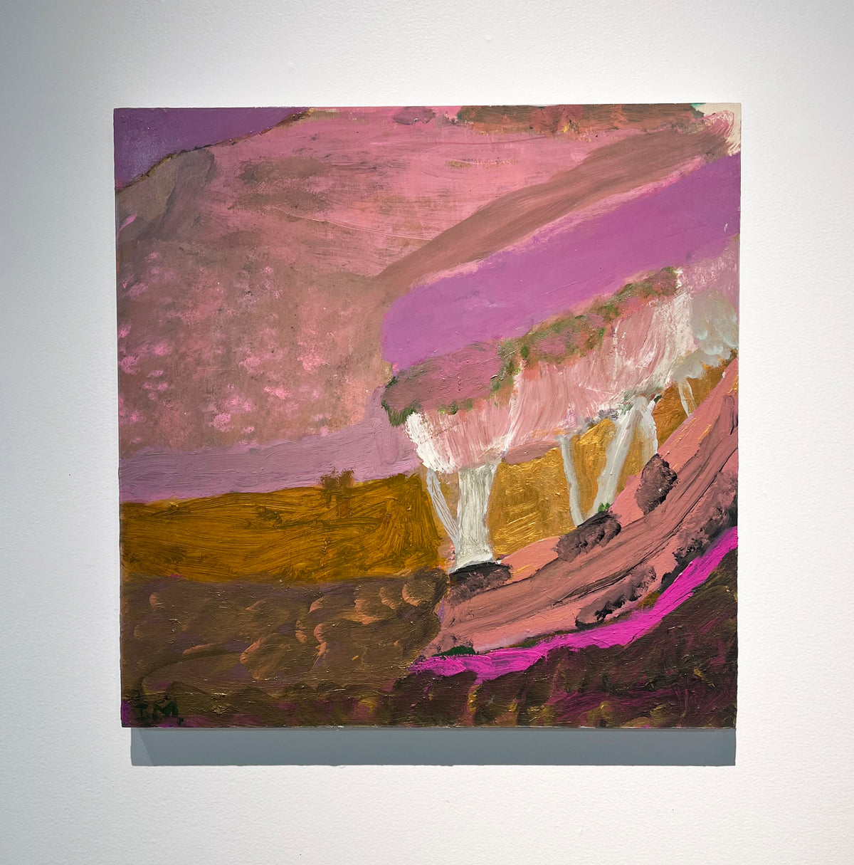Idris Murphy paintings - Brisbane Art Gallery
