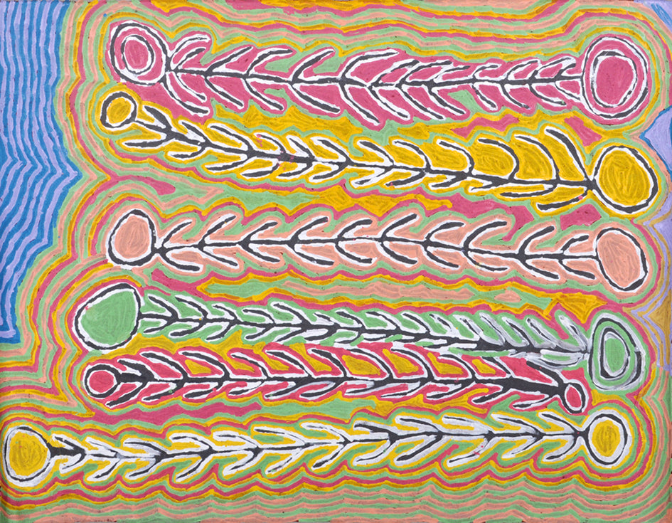 Judy Watson Napangardi paintings - Contemporary Aboriginal art