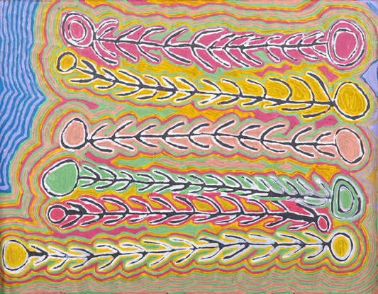 Judy Watson Napangardi paintings - Contemporary Aboriginal art