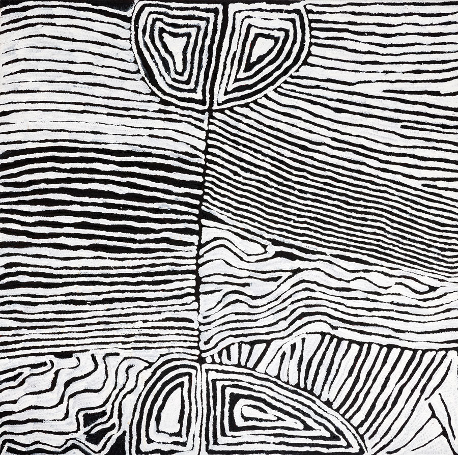 Judy Watson Napangardi paintings - Aboriginal Art Brisbane