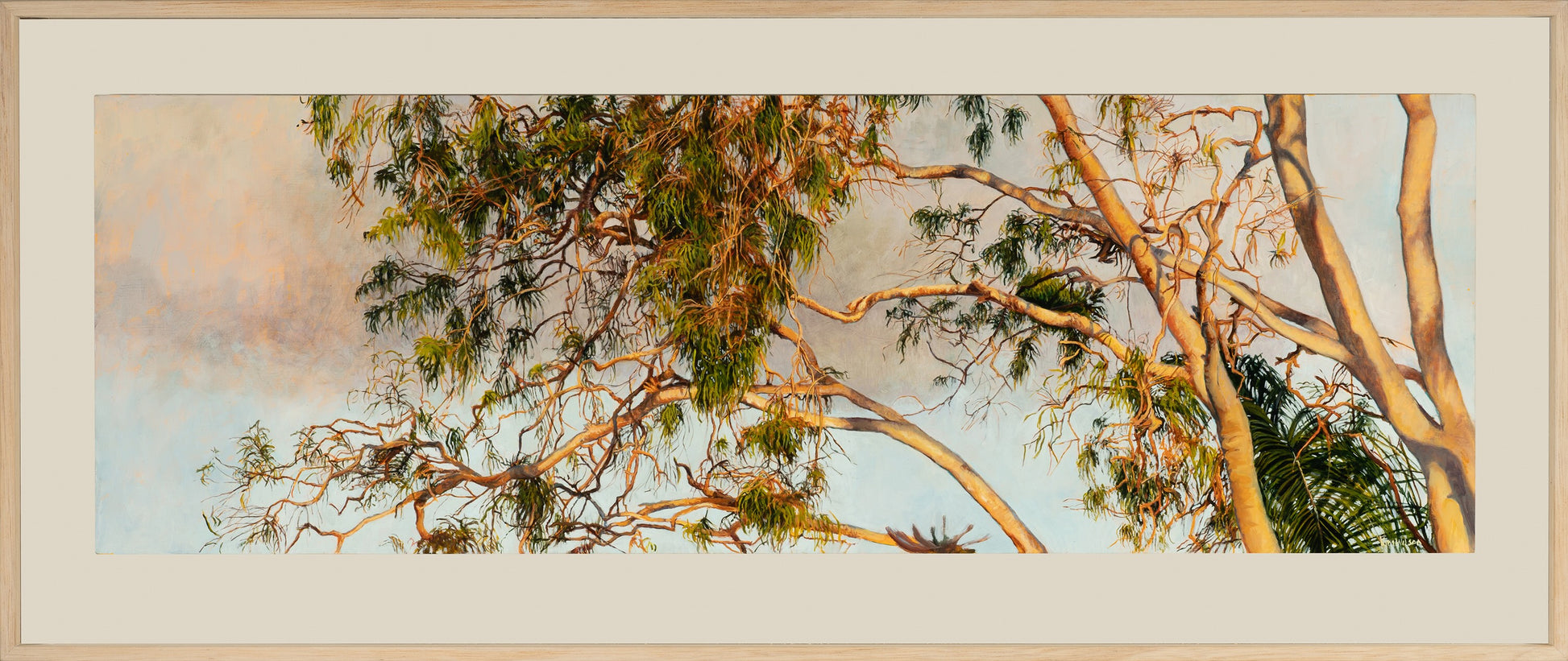 Kim Wilson Brisbane Contemporary Artist hyper-realism painting nature