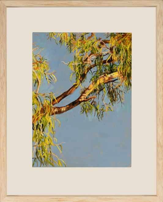 Kim Wilson Brisbane Contemporary Artist hyper-realism painting nature