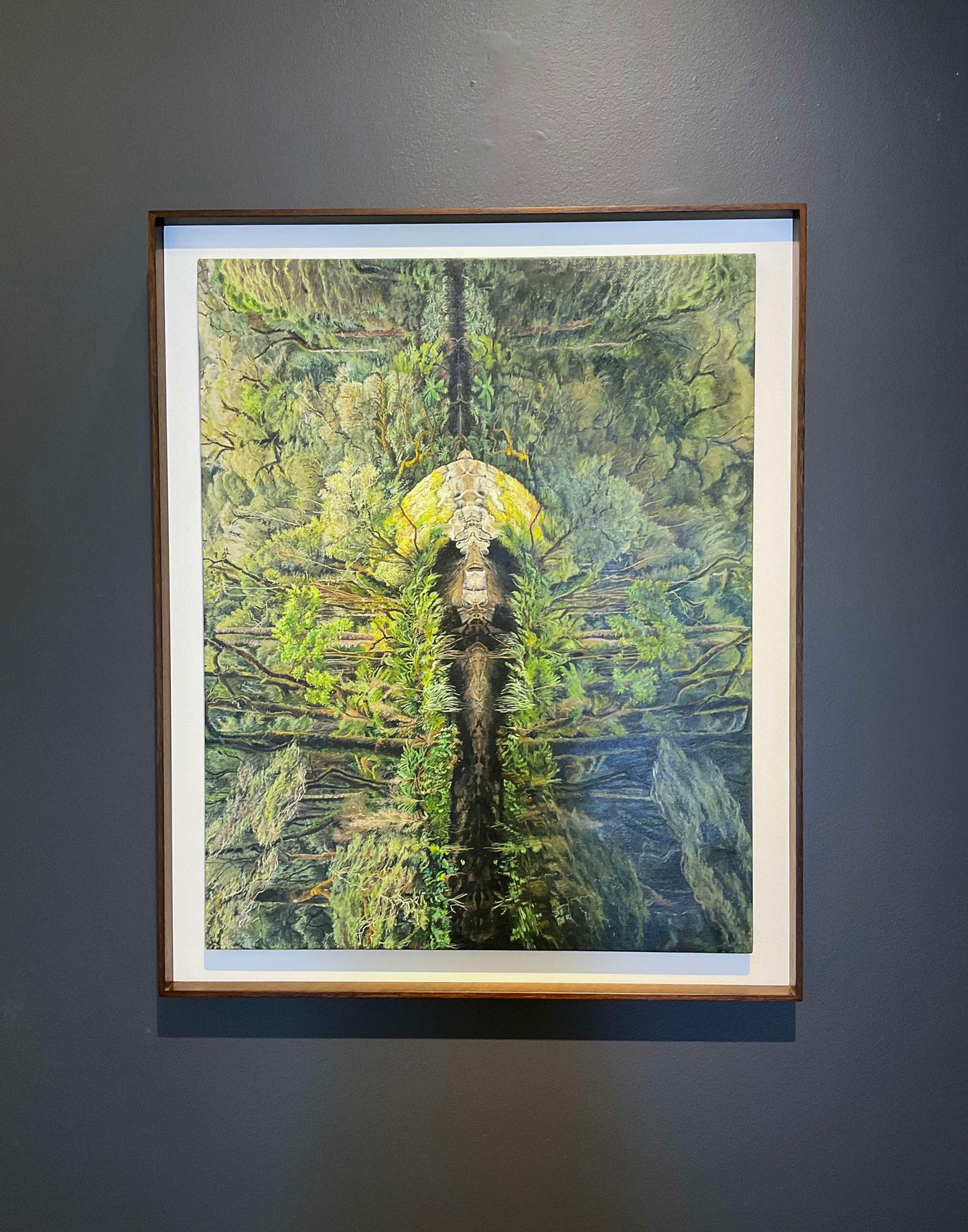 Kim Wilson nature painting New Zealand