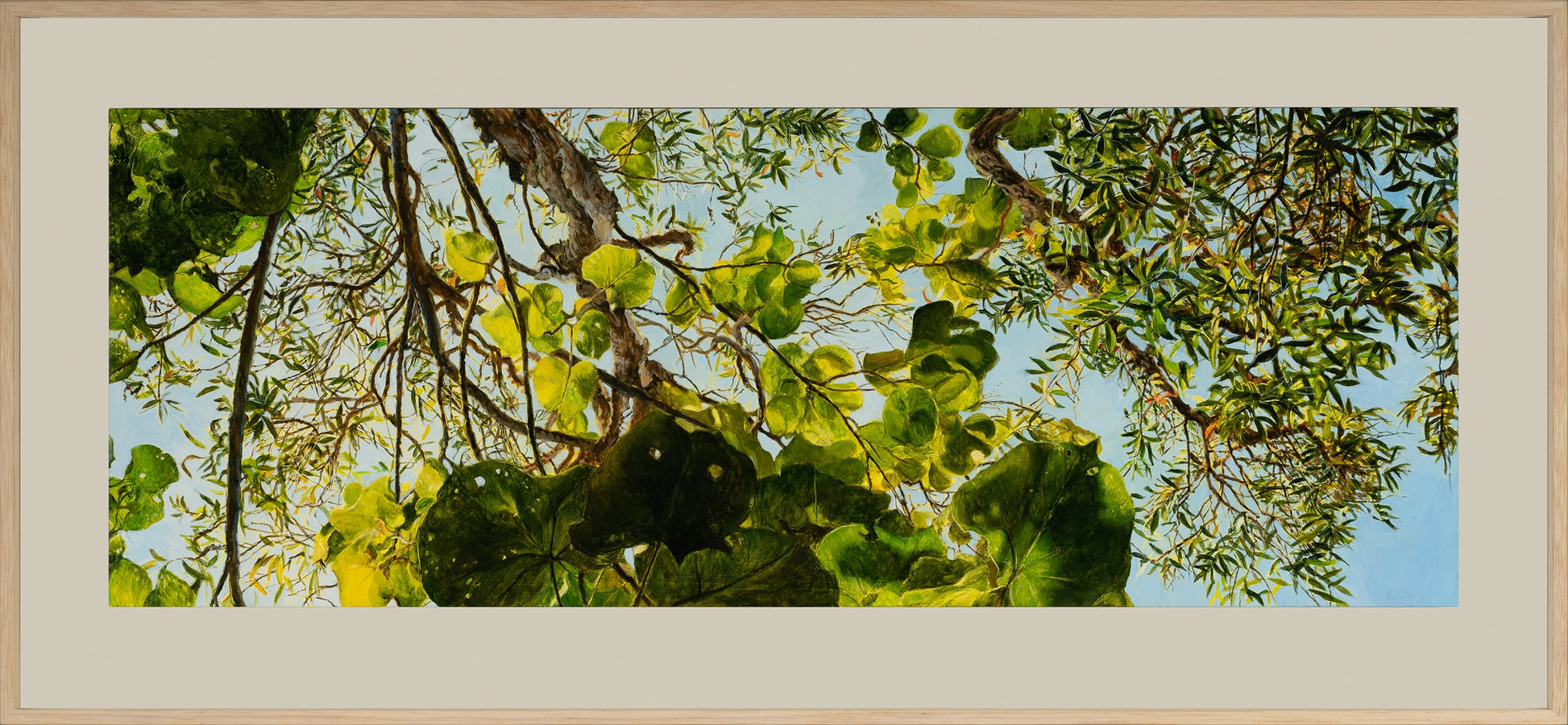 Kim Wilson Brisbane Contemporary Artist hyper-realism painting nature