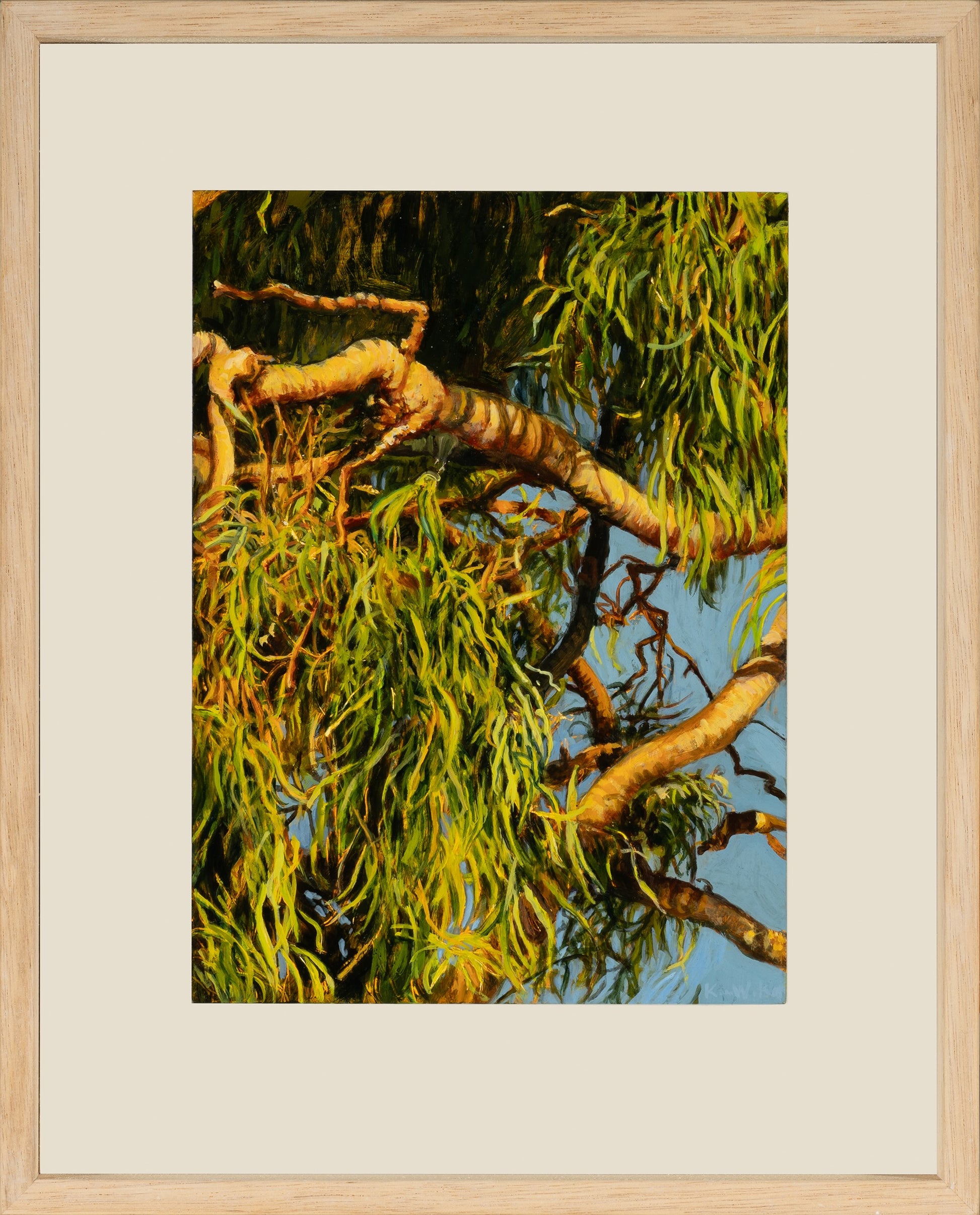 Kim Wilson Brisbane Contemporary Artist hyper-realism painting nature